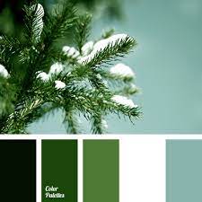 forest green color palette ideas