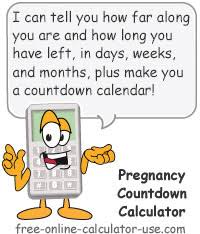 Pregnancy Countdown Calculator With Meter And Printable Calendar