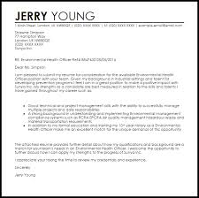 Insurance Sales Resume Sample Sales Resume Sample  sales cover letter  example