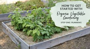Organic Gardening Step One Planning