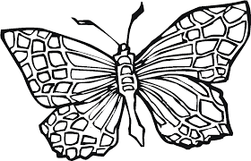 Coloring pages are funny for all ages kids to develop focus, motor skills, creativity and color recognition. Butterfly Coloring Book Girls Transparency Coloring Pages Butterfly Clipart Full Size Clipart 1760109 Pinclipart