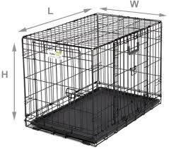 measuring your dog for a crate dog com