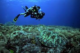 Best Dive sites on Gili Islands - Trawangan Dive