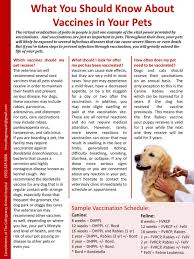 Where you live is one. What You Should Know About Vaccines In Your Pets Ppt Download