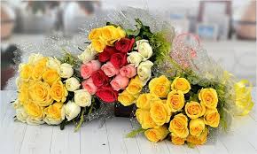 Flowers made by god and when you give it to someone it makes their day,so here is the list of most beautiful flowers pics of 2021. Make Your Loving Mom Smile With Beautiful Flowers