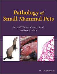 Common small mammal pets include Pathology Of Small Mammal Pets Wiley