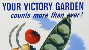 america s patriotic victory gardens