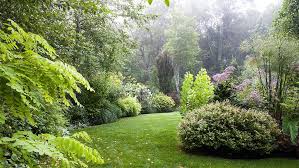 Create An Enchanting Garden Where The