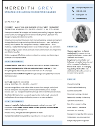 Resume Writing Design Samples Services Resume By Nico