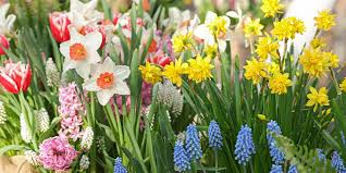 How To Design A Spring Flower Bed With