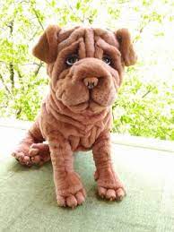 discover shar peis on tedsby