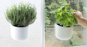 30 Indoor Herb Pots And Planters To Add