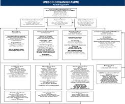 Organizational Chart For The Un International Strategy For