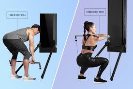 push pull legs workout to your fitness