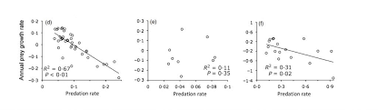 Predicting Prey Population Dynamics From Kill Rate