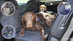 Top 7 Best Car Seat Covers For Dogs In 2021