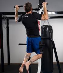 punching bag stands with pull up bar
