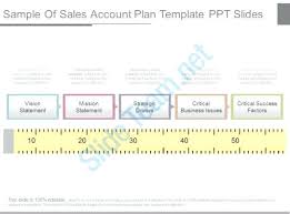 Account Plan Example Template Sample Templates For Flyers Meicys Co
