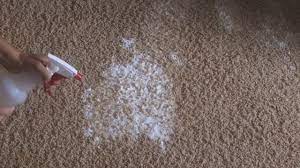 natural carpet cleaning solutions