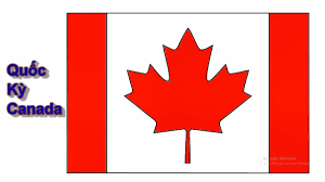 Vẽ Quốc Kỳ Canada - Hướng Dẫn Vẽ Lá Cờ Các Quốc Gia Trên Thế Giới - YouTube