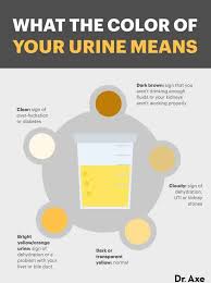 cloudy urine causes diagnosis and