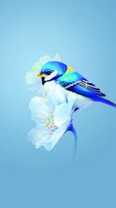 cute bird wallpaper 4k blue flower