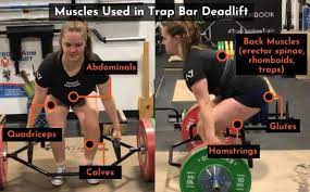 trap bar deadlift vs squats