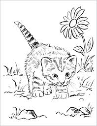 Free puppy coloring pages to print for kids. Realistic Cat Coloring Pages Kittens Printable Kitten Ladybug And Noir Pusheen Sheet Puppy Nyan Free For Adults Colouring Oguchionyewu