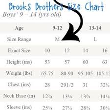 Boys Brooks Brothers Non Iron Dress Shirt Size M