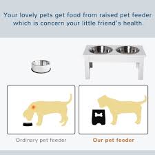 dog food stand pet feeding station