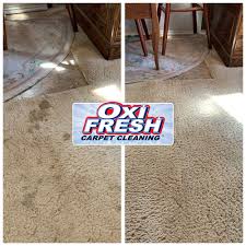 carpet cleaners near warsaw mo 65355
