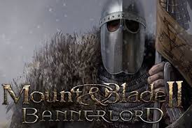 best settings for mount and blade 2