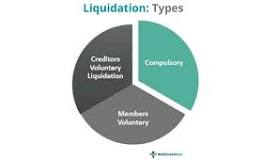 Image result for Liquidation Process in Botswana