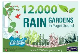 Resource Library 12 000 Rain Gardens