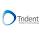 Trident Consulting logo