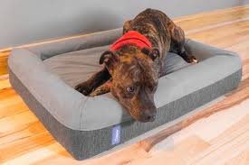 How to wash a foam bed. The Best Dog Beds Reviews By Wirecutter