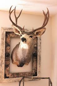 Deer Head Decor Antler Art