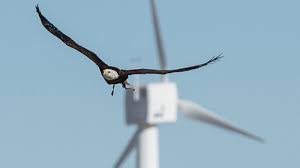 A wind turbine is a device that converts kinetic energy from the wind into  electrical power  It s used for charging batteries may be referred to as a  wind     Conserve Energy Future