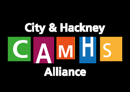 Image result for camhs hackney