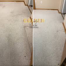 non toxic carpet cleaning in ann arbor