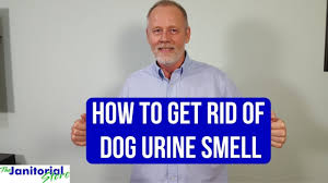 dog urine smell from a hard wood floor