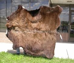 buffalo hides or buffalo skins or