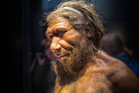 7,796 Neanderthal Stock Photos and Images - 123RF