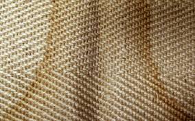 protect sisal jute rugs