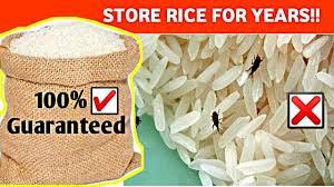 Search anything about wallpaper ideas in this website. Best Simple Way To Store Rice How To Store Rice For Long Time How To Store Rice At Home Youtube