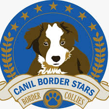 We did not find results for: Canil Borders Stars Home Facebook