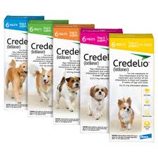 Credelio For Dogs Free Shipping 100 Guaranteed 1800petmeds
