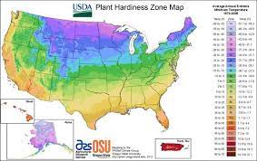 Do You Know Which Plant Hardiness Zone