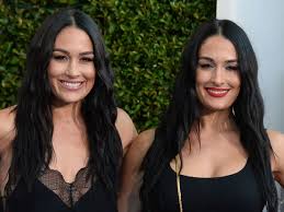 bella twins nikki and brie give birth