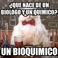 Feliz dia panamericano del bioquimico y quimico farmaceutico!! Meme Chemistry Cat A Que Nace De Un Biologo Y Un Quimico Un Bioquimico 16469550